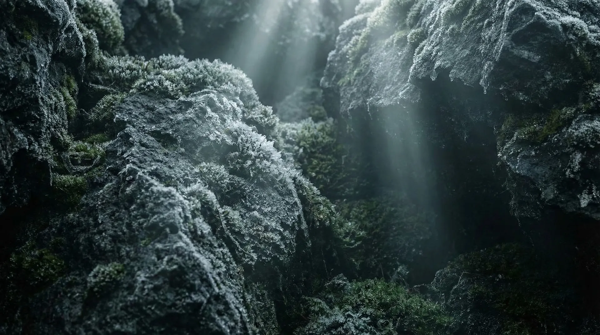 HRV Verbeteren: De Objectieve Maatstaf voor Stress en Herstel